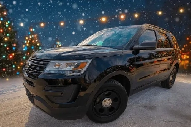 2019 Ford Police Interceptor Utility AWD Image# 1