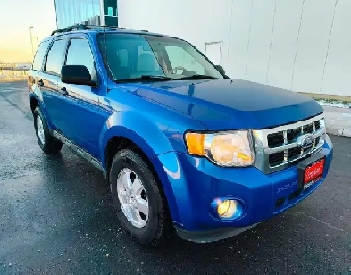 2011 Ford Escape XLT 4dr Front-wheel Drive Automatic Image# 1