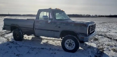 1991 dodge W250 Image# 1