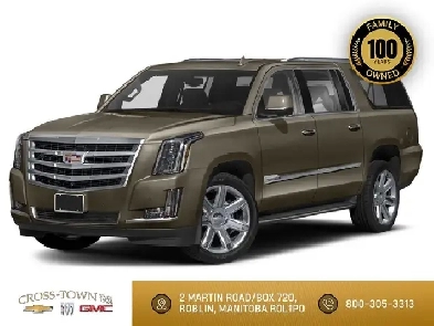 2019 Cadillac Escalade ESV Luxury Image# 1