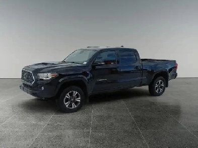 2019 Toyota Tacoma 4x4 Double Cab V6 Auto SR5 Image# 1