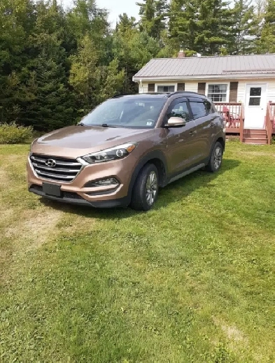 2017 Hyundai Tuscon Image# 1