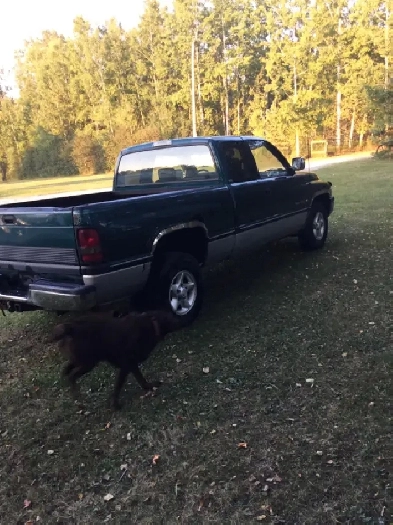 1997 Dodge Extended Cab Short Box $2500 Image# 1