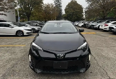 2019 Toyota Corolla SE Image# 1