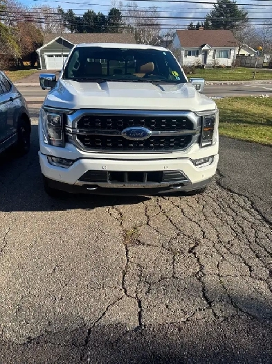 2021 Ford F150 Platinum Image# 1