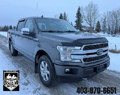 2019 Ford F-150 Platinum 3L Diesel FX-4 VERY RARE, LOADED Image# 1