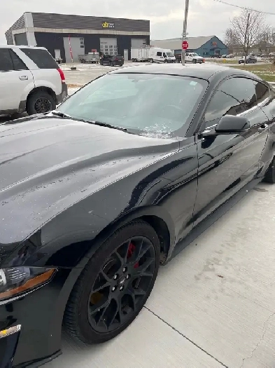 2018 mustang Image# 1