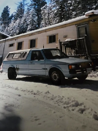 1981 Volkswagen Truck