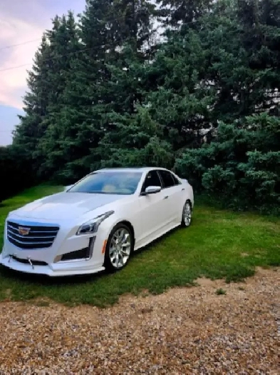 Cadillac cts