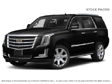 2019 Cadillac ESCALADE Platinum