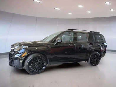 Hyundai Santa Fe Ultimate Calligraphy 2025