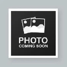 2011 Hyundai Sonata  SAFETIED