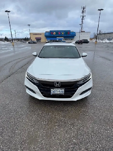2019 Honda Accord Sedan sport