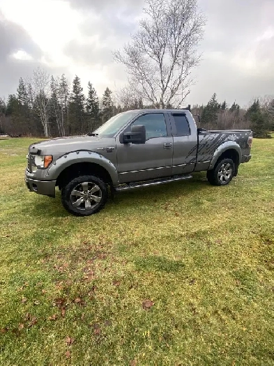 2011 f150 Fx4 5.0 Image# 1