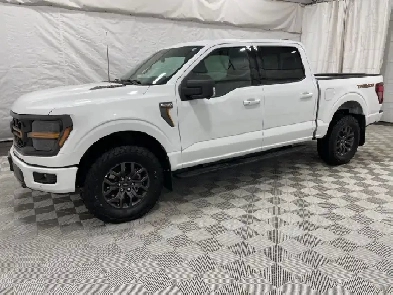 2025 Ford F-150 Image# 1