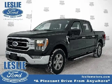 2021 Ford F-150 XLT 4WD SuperCrew 5.5' Box Image# 1