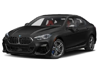 2020 BMW 2 Series M235 xDrive Gran Coupe - M PKG I M Sport Brake Image# 1