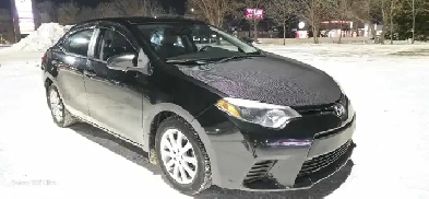 2014 toyota corolla sedan Image# 1
