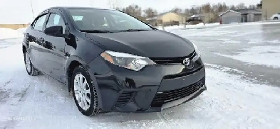 2014 toyota corolla sedan Image# 1