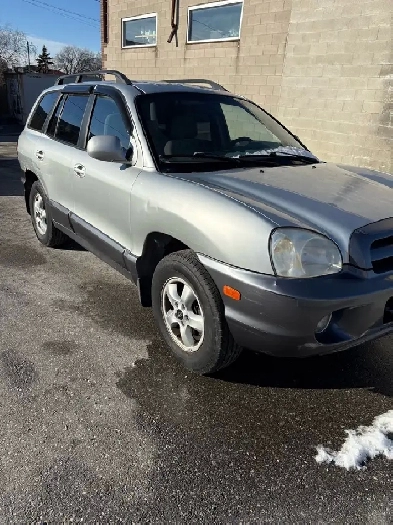 2006 Hyundai Santa Fe Image# 1