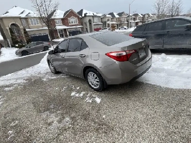 2015 Toyota Corolla Le Certified Image# 1