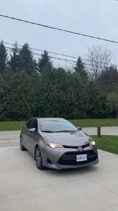 2018 Toyota Corolla LE Image# 1