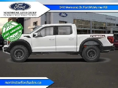 2025 FORD F-150 Raptor Image# 1