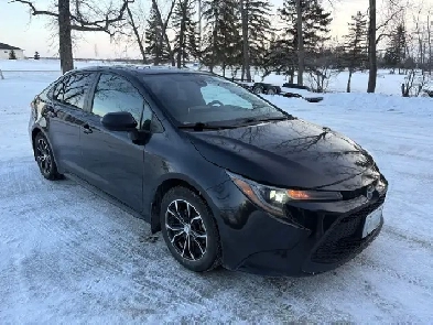 2020 Toyota Corolla Image# 1