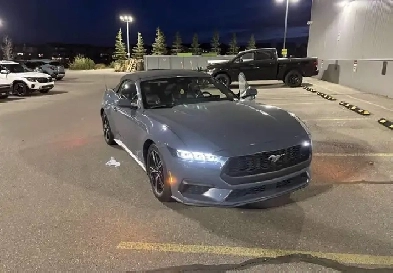 2024 mustang ecoboost Image# 1