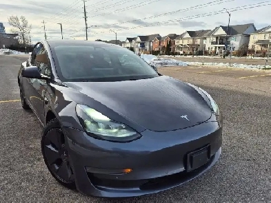 2021 Tesla Model 3 Standard Range Plus RWD Image# 1