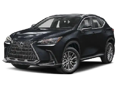 2022 Lexus NX 350h Image# 1