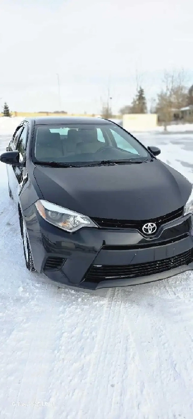 2014 toyota corolla sedan Image# 1
