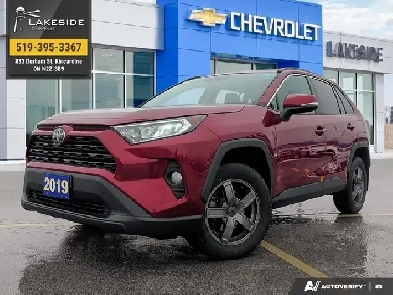 2019 Toyota RAV4 XLE Rav4 XLE