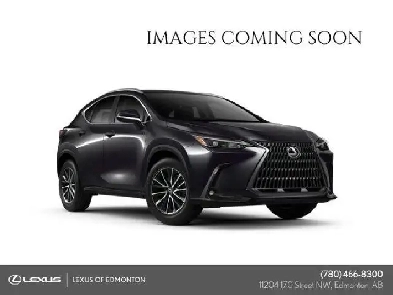 2024 Lexus NX NX STANDARD PACKAGE Image# 1