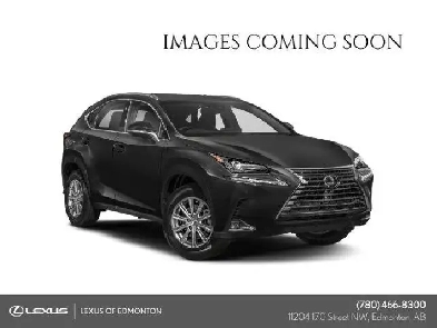2020 Lexus NX STANDARD PACKAGE Image# 1