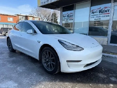 2020 Tesla Model 3 Standard Range Plus / RWD / CUIR / Image# 1