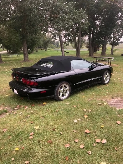 1999 Trans Am for sale Image# 1