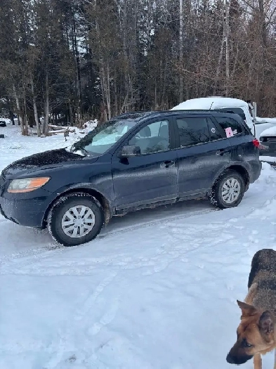 2009 Hyundai Santa fe Image# 1