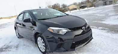 2014 toyota corolla sedan Image# 1