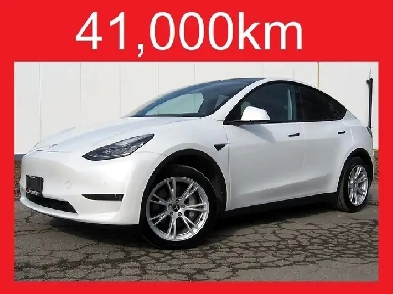 2022 Tesla Model Y Long Range AWD Tesla Warr 2030 Image# 1