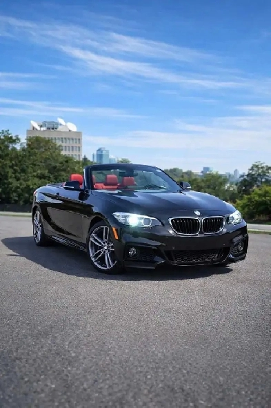 BMW X2 Cabriolet Image# 1