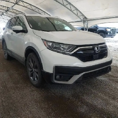 2020 Honda CR-V Image# 1