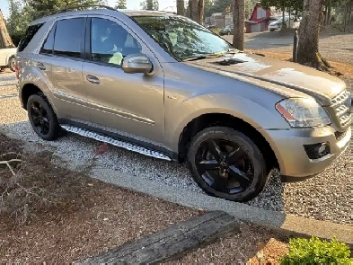 MERCEDES 2009 Image# 1