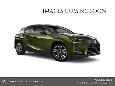 2021 Lexus UX UX 250H STANDARD PACKAGE Image# 1