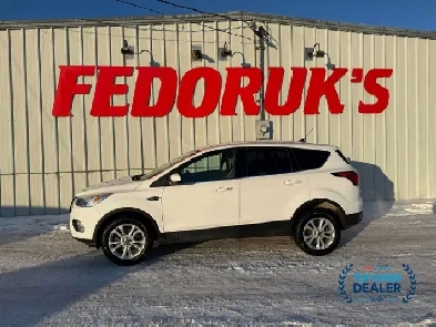 2019 Ford Escape SE 4WD Image# 1