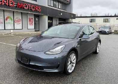2020 Tesla Model 3  Electric Sleek  Powerful