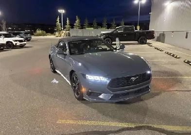 2024 mustang ecoboost Image# 1