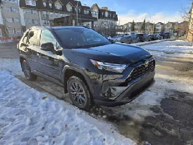 Quick cell 2025 TOYOTA RAV 4 XLE Image# 1