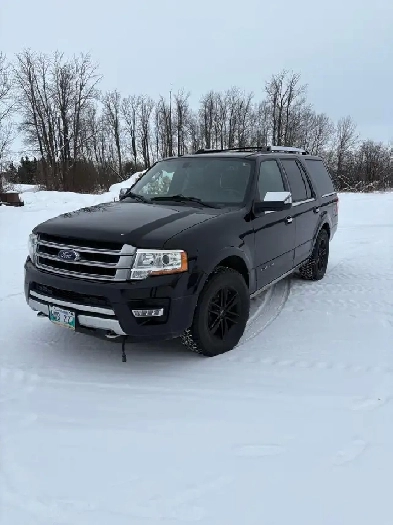 Ford Expedition Platinum Image# 1