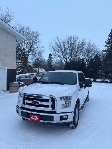 2017 Ford F-150 XLT Image# 1